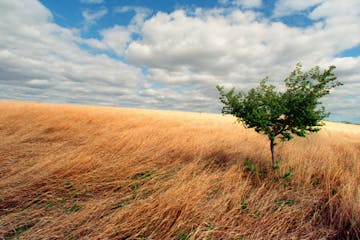 At the western end of the Minnesota River near its origins in South Dakota, it's possible to envision how the landscape and the river looked more than