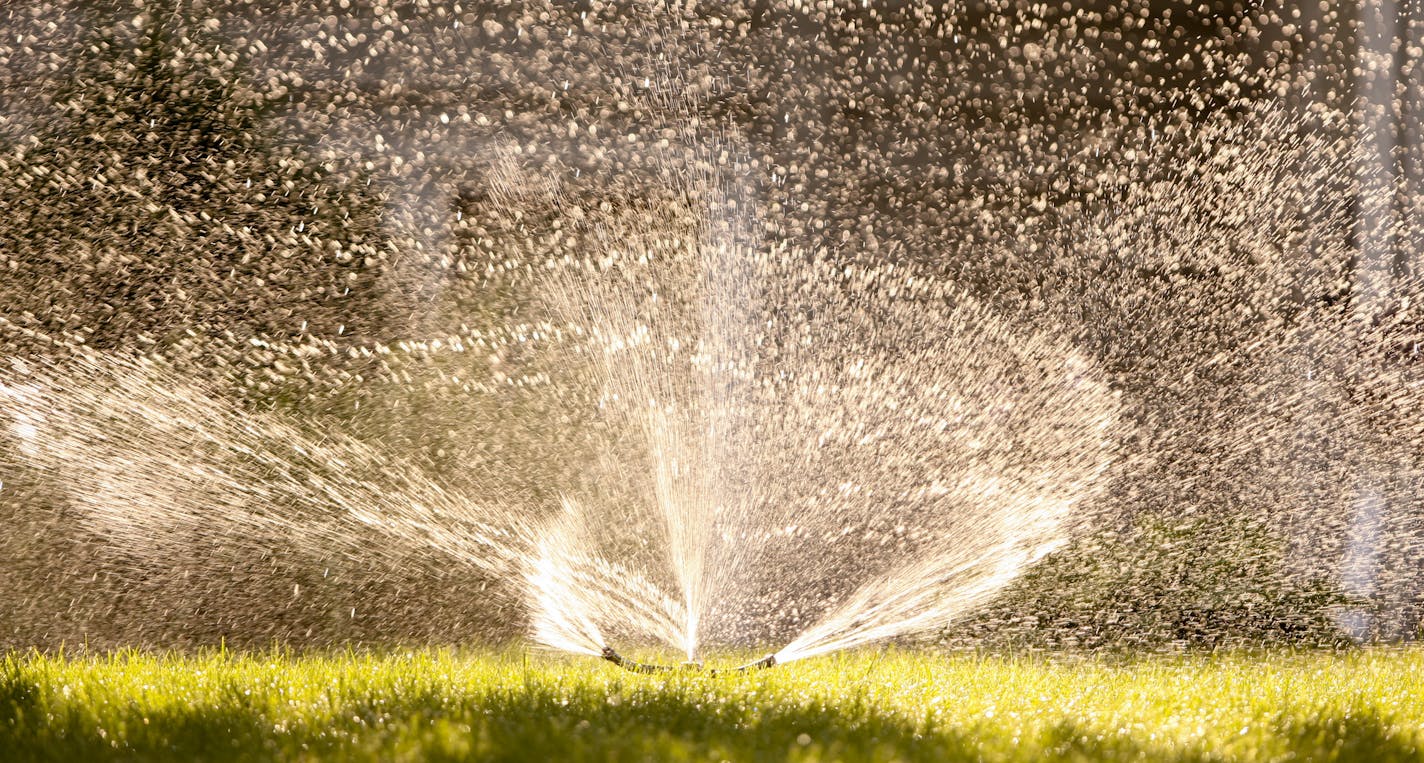 A sprinkler watered a lawn in the Twin Cities suburbs.