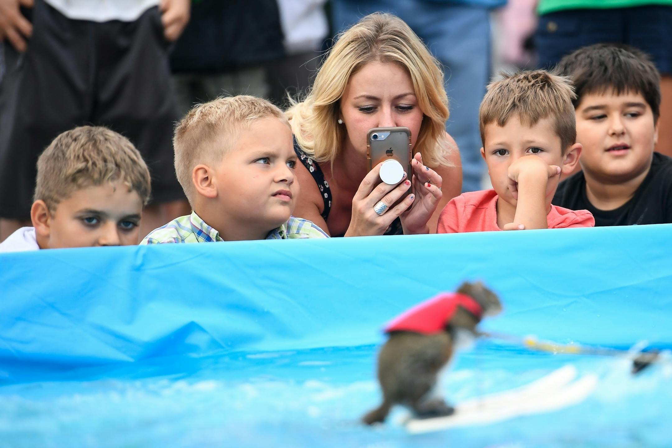Spectators watched as Twiggy, the water-skiing squirrel, performed Thursday, July 19, 2018 outside US Bank Stadium as part of X Fest. The squirrel, the 7th in a line of Twiggies going back to the late 1970s, is on a farewell tour due to the retirement of its owner, Lou Ann Best. She started performing with water-skiing squirrels with her husband, Chuck Best, who died in a downing accident in 1997. Lou Ann spends a substantial part of her performance educating spectators about water safety.