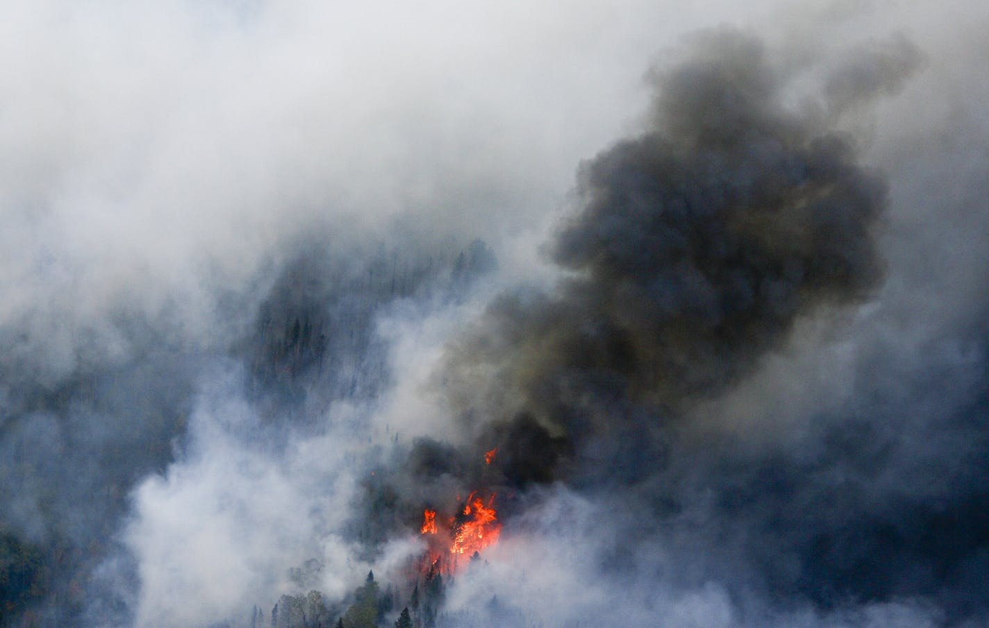 In this aerial photo, an area of the Pagami Creek wildfire shows active burning and creates a large smoke plume on Tuesday Sept. 13, 2011 in the Boundary Waters Canoe Area Wilderness in Northeastern Minnesota. The haze from the fire was heavy enough that some people reported burning eyes and difficulty breathing in the Chicago area, 400 miles south of the forest fire, the National Weather Service said.