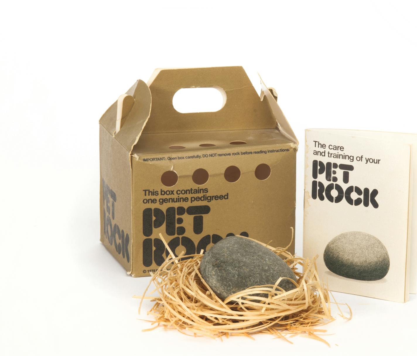 Pet Rock