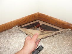 The top five places to find mold in your home