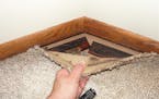 The top five places to find mold in your home