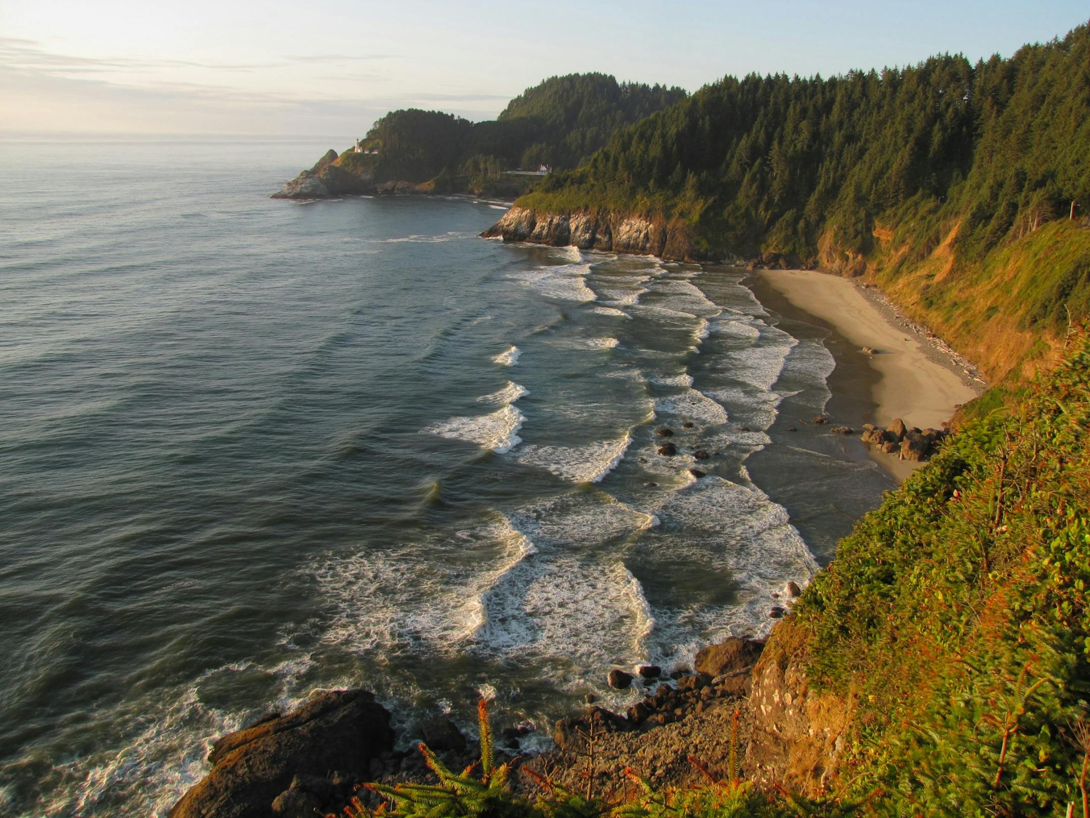 Pullouts along the Pacific Coast Scenic Byway (Oregon Highway 101) provide a place to admire waves washing into lush rocky coves.