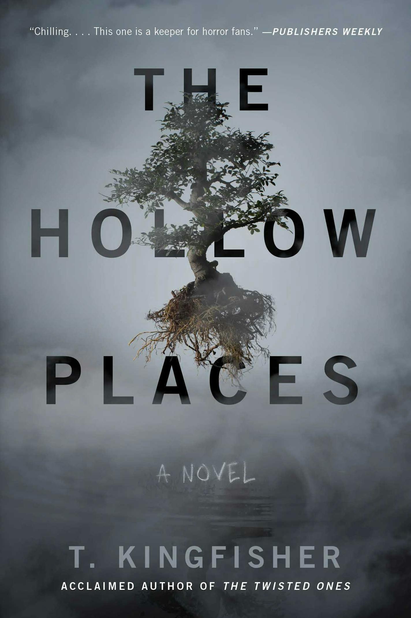 "The Hollow Places" by T. Kingfisher