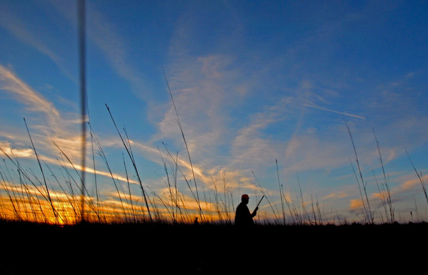 Pheasant hunting, in 2012