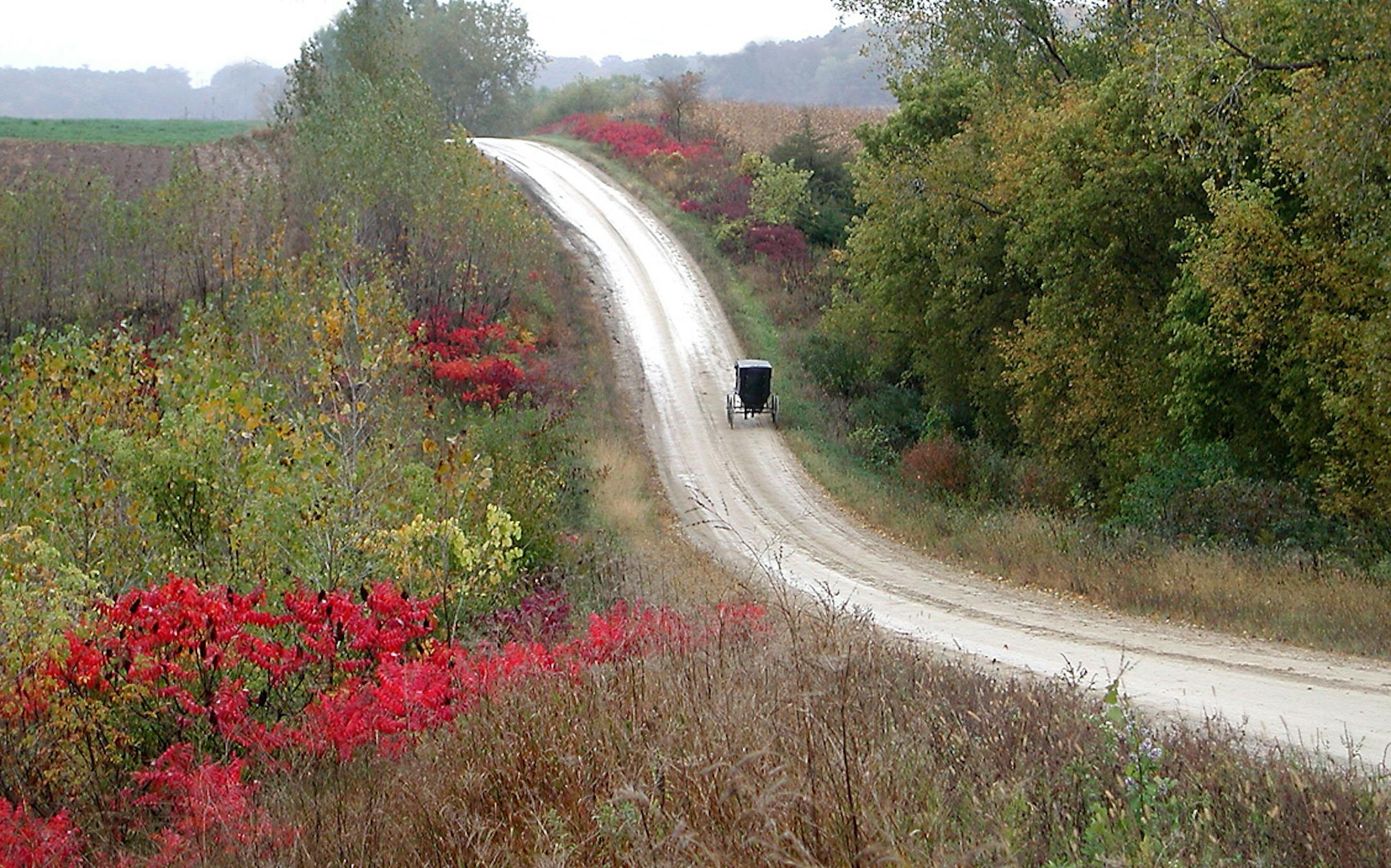 The Amish community of 3,000 can be found in the county which is home to Lanesboro. Amish guided and self-guided tours offer visitors an inside look at the Amish way of life and the opportunity to purchase Amish goods. Photo Credit: Lanesboro Area Chamber of Commerce