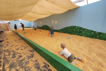 Jess Tran’s wedding ring was hidden somewhere in this corn pit.