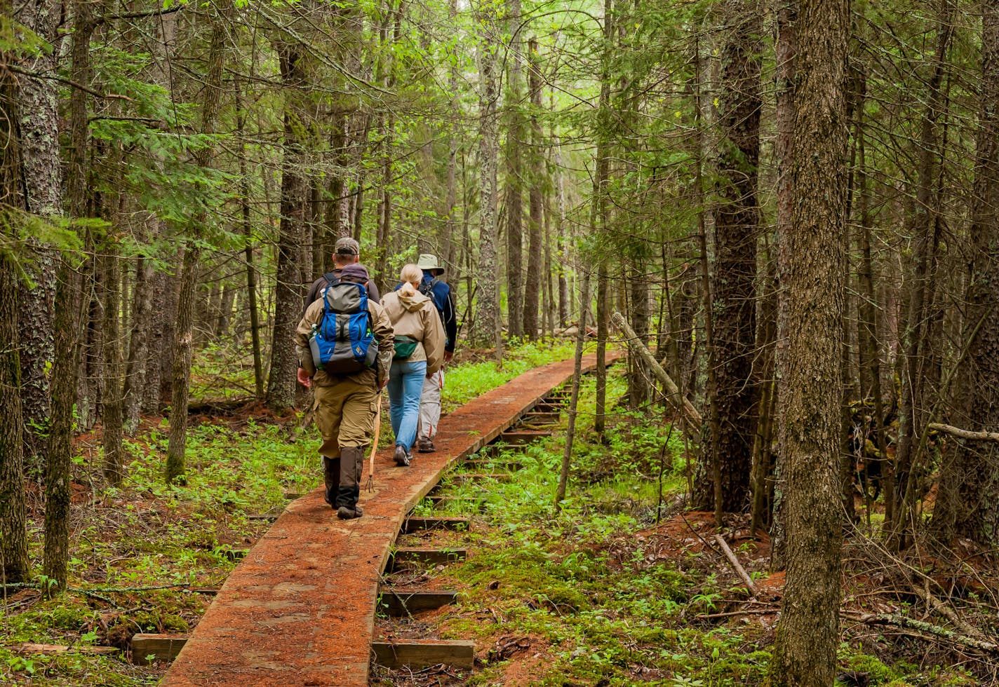 Photo by Matthew Davis. North Country Trail.