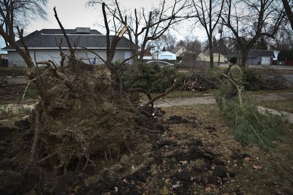 Tom Brotzman and his partner, Jim Wasson, spent Sunday cleaning up the debris from trees ripped apart on their property during a storm late Saturday.