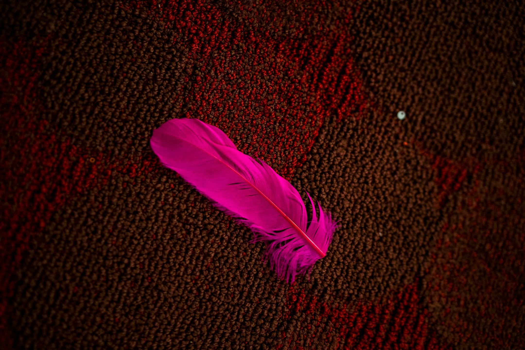 A feather from an outfit lays on the dressing room floor at a weekly drag show hosted by Flip Phone Events At Crave on Sunday, June 20, 2021, in Minneapolis. ] ANTRANIK TAVITIAN • anto.tavitian@startribune.com