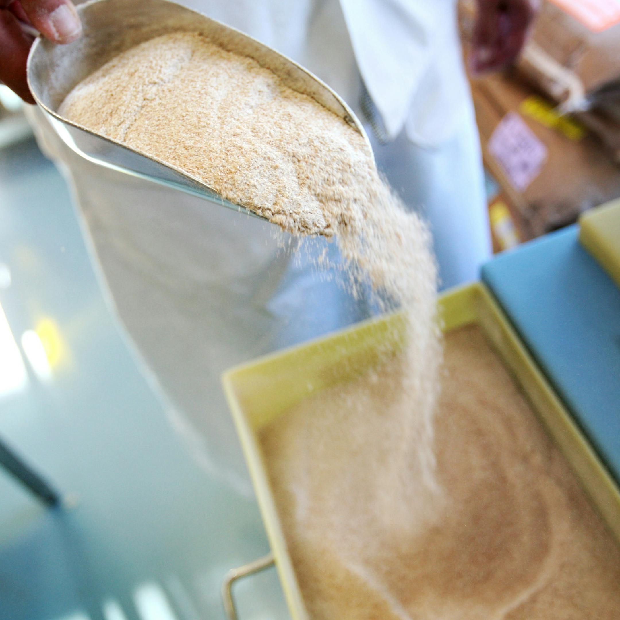 Co-owner and baker Solveig Tofte scoops Swany White Flour Mills' whole wheat flour at Sun Street Breads May 24, 2013. (Courtney Perry/Special to the Star Tribune)