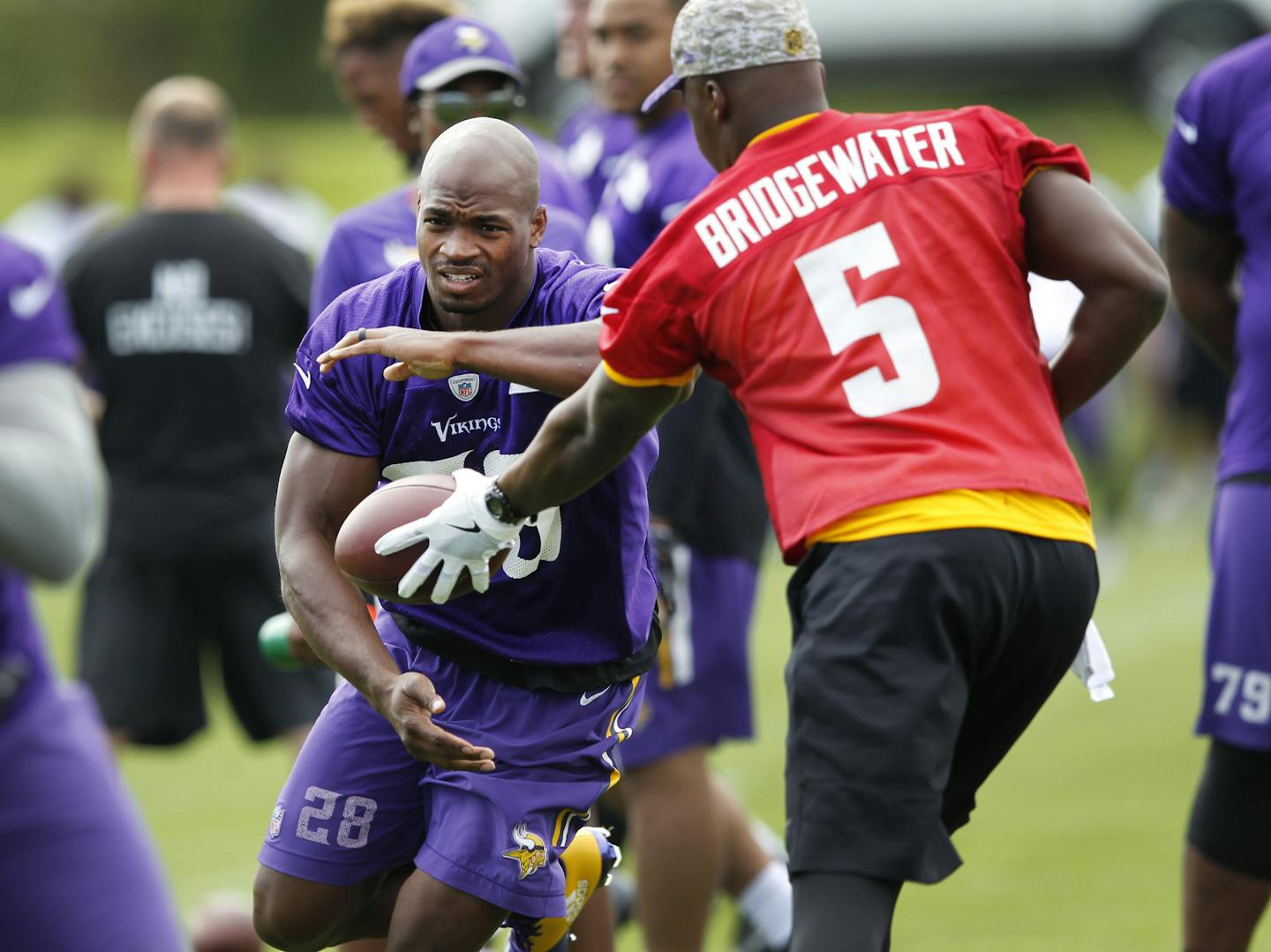 Minnesota Vikings running back Adrian Peterson (28) get the ball from quarterback Teddy Bridgewater (5) during the first day of NFL football training camp at Mankato State University in Mankato, Minn. on Friday, July, 29, 2016.(AP Photo/Andy Clayton-King)