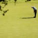 Tom Watson of the USA putts on the 13th green during the third round of The Senior Open Championship presented by MasterCard held on the Old Course at
