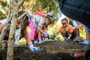 Kids from Miss Maria Lazowski�s 2nd grade class from Saint Paul Music Academy planted, mulched and watered three native ornamental trees around the 