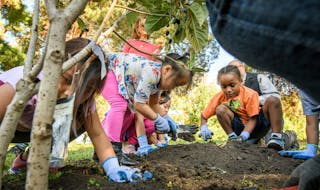 Kids from Miss Maria Lazowski�s 2nd grade class from Saint Paul Music Academy planted, mulched and watered three native ornamental trees around the 
