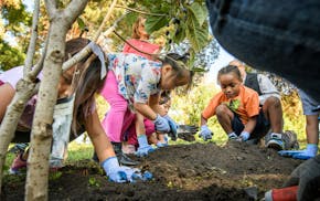 Kids from Miss Maria Lazowski�s 2nd grade class from Saint Paul Music Academy planted, mulched and watered three native ornamental trees around the 