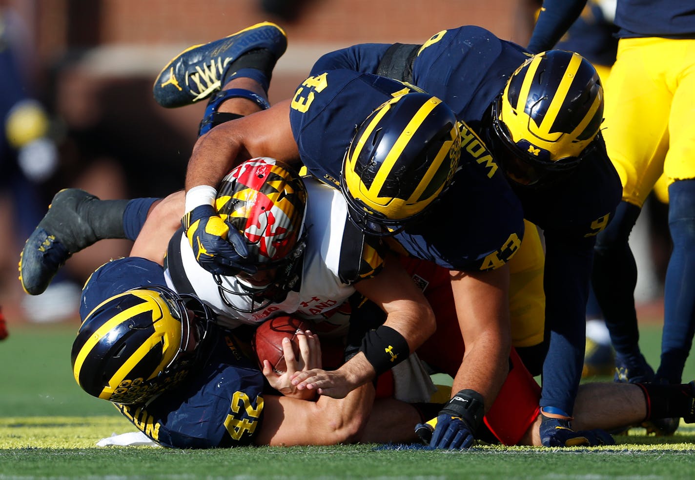 Maryland Terrapins quarterback Perry Hills is brought down for a loss by Michigan Wolverines linebacker Ben Gedeon (42), defensive end Chris Wormley (43), and Mike McCray (9) in the first half of an NCAA college football game in Ann Arbor, Mich., Saturday, Nov. 5, 2016. (AP Photo/Paul Sancya)