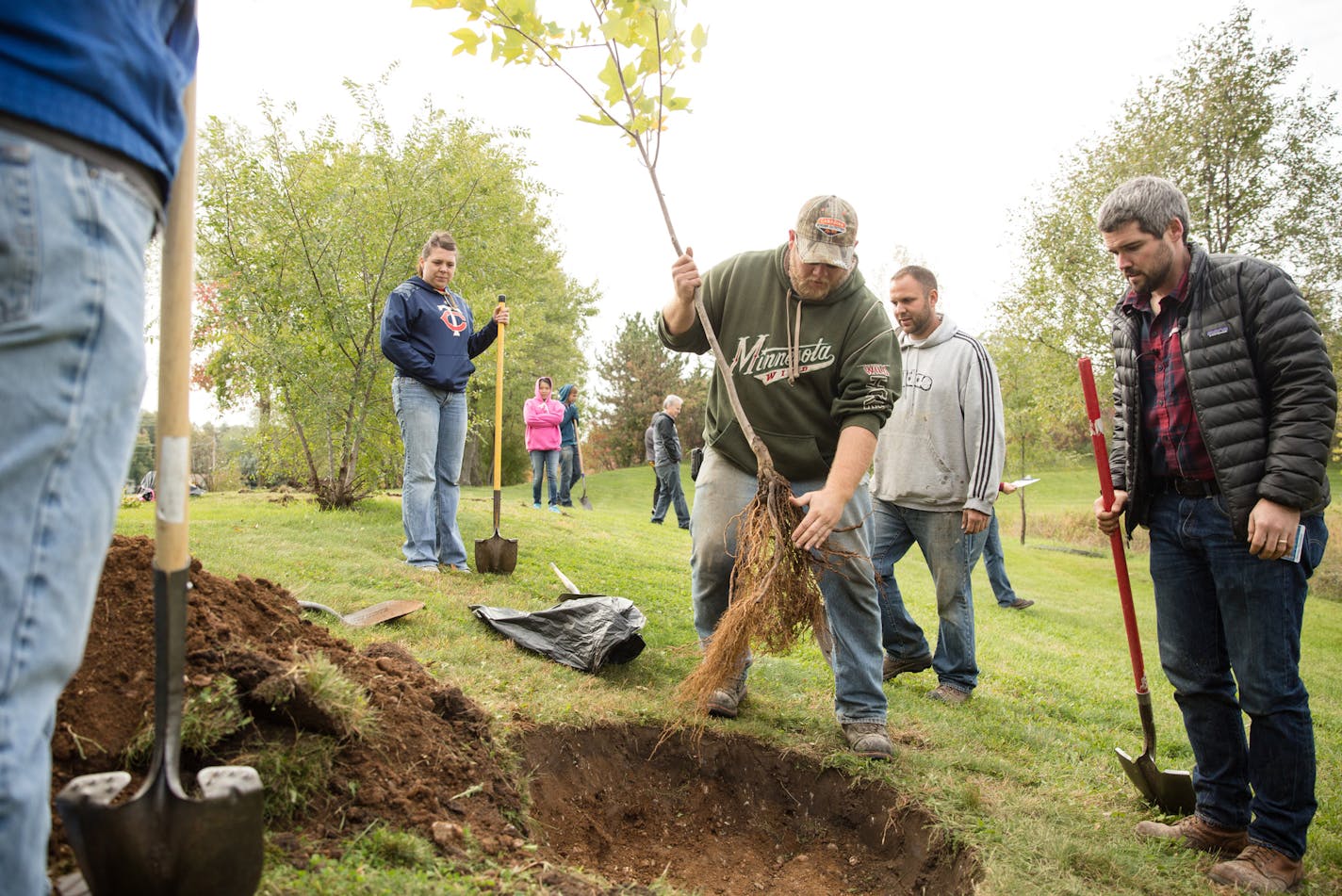 Hennepin County transplanted trees from the gravel-bed nursery to a permanent planting location on the Hennepin County Adult Corrections Facility property. credit: Hennepin County