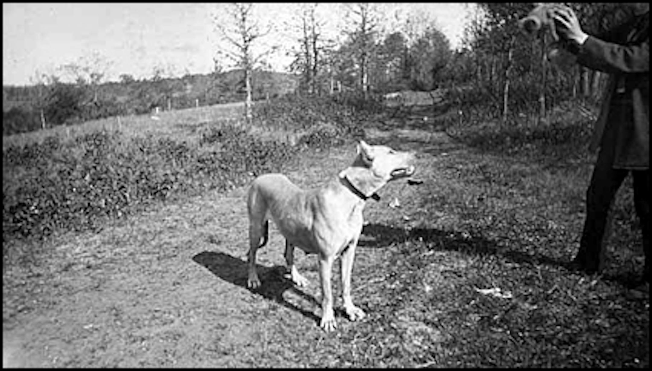 Truman W. Ingersoll photo, 1887