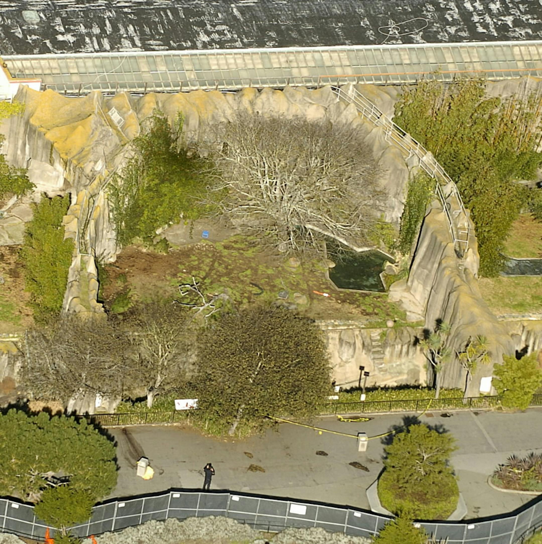 A police officer examines a tiger enclosure at the San Francisco Zoo on Wednesday.