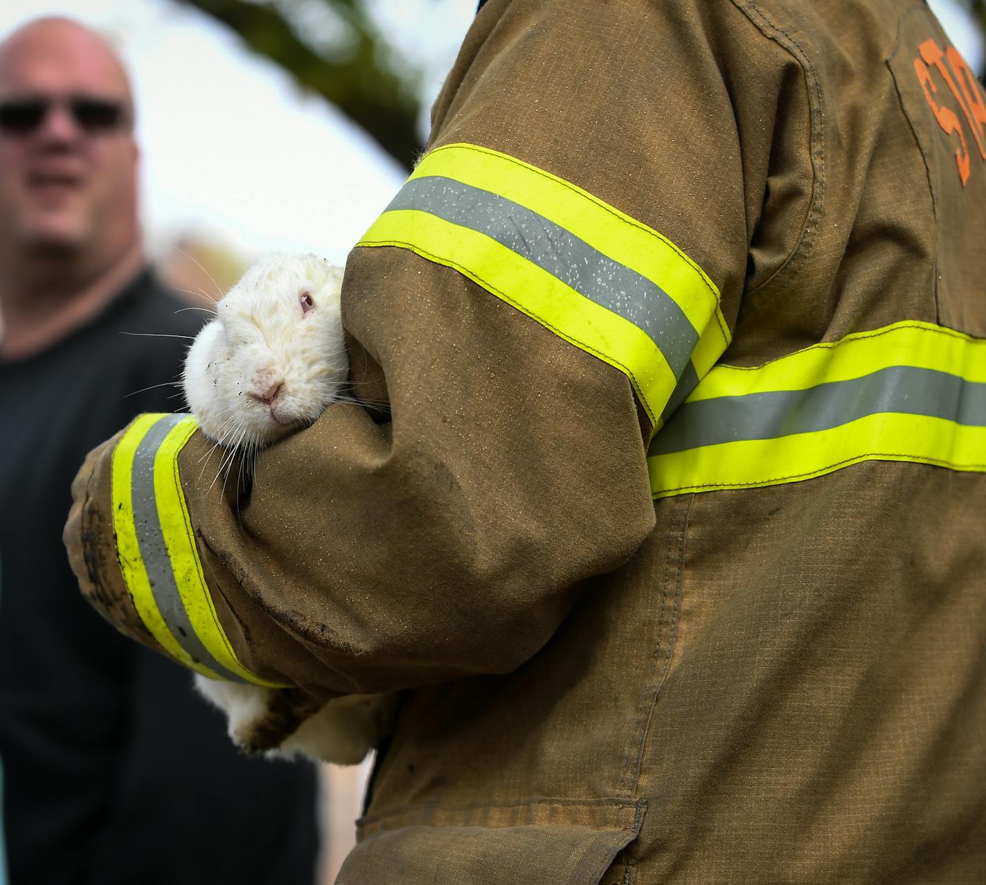 St. Paul firefighter Kevin Lagos brought a pet rabbit to its owner after finding it outside a home which was lost to a fire Tuesday. ] AARON LAVINSKY &#xef; aaron.lavinsky@startribune.com The out of focus people in the photo are onlookers, not the rabbit's owner. St. Paul firefighters battled a fire at a fully engulfed historic home on Dayton Avenue near the St. Paul Cathedral on Tuesday, Oct. 10, 2017.