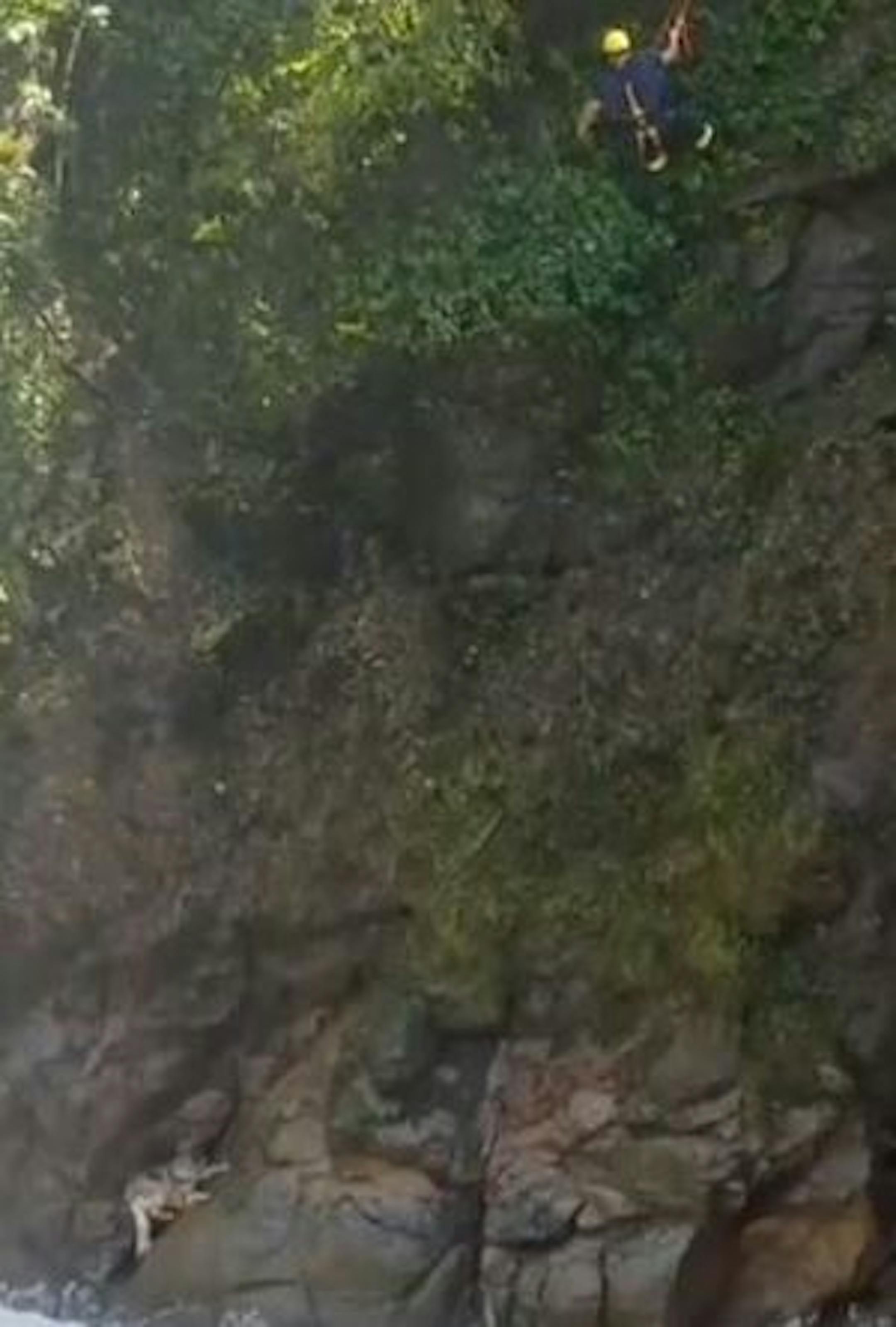 A firefighter neared the dog stranded after going over a waterfall.