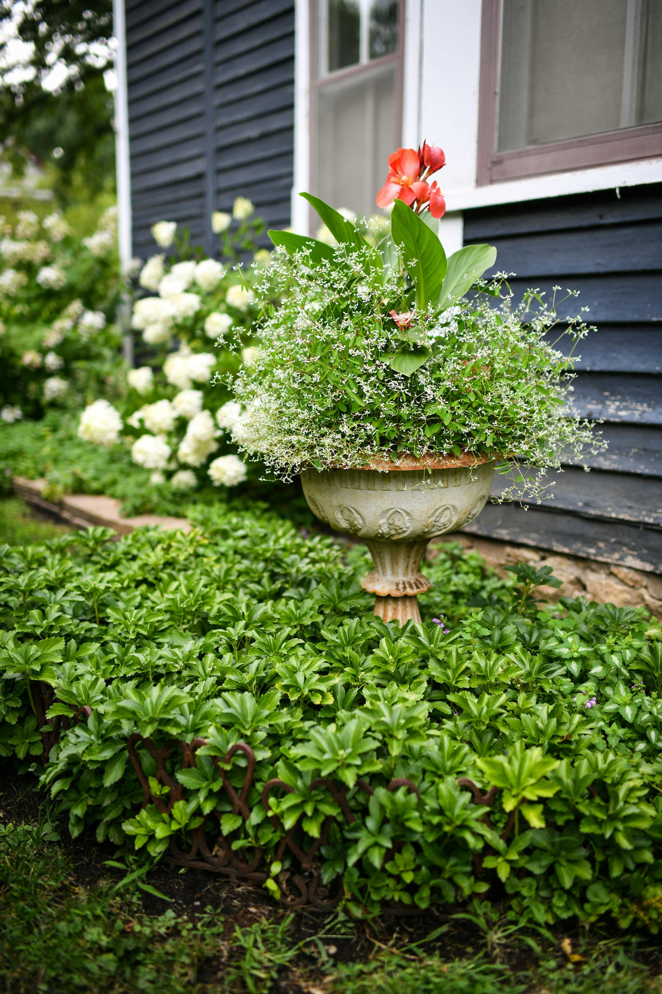 Planter in Tamara Jorgenson's garden.