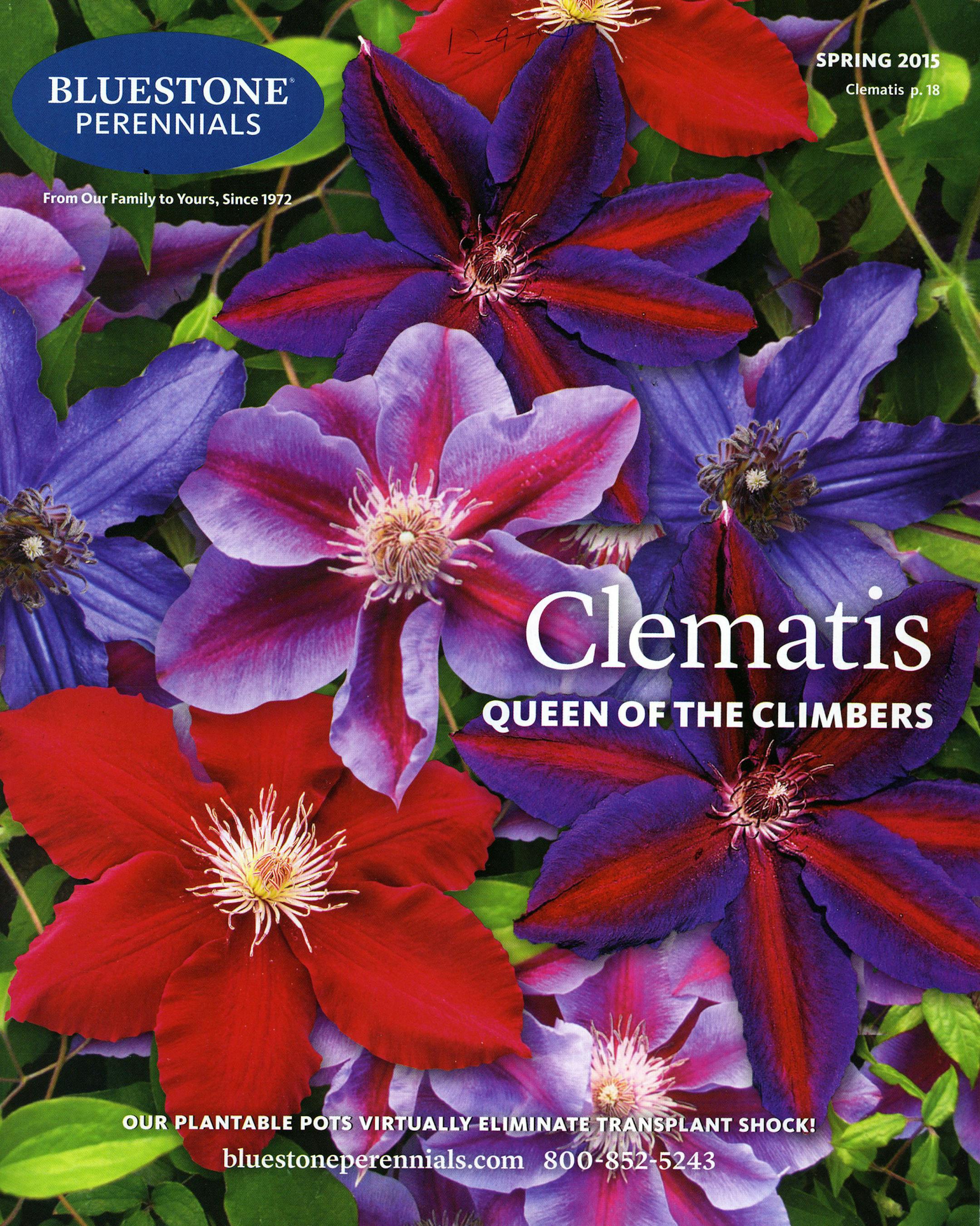 BlueStone Perennials catalog