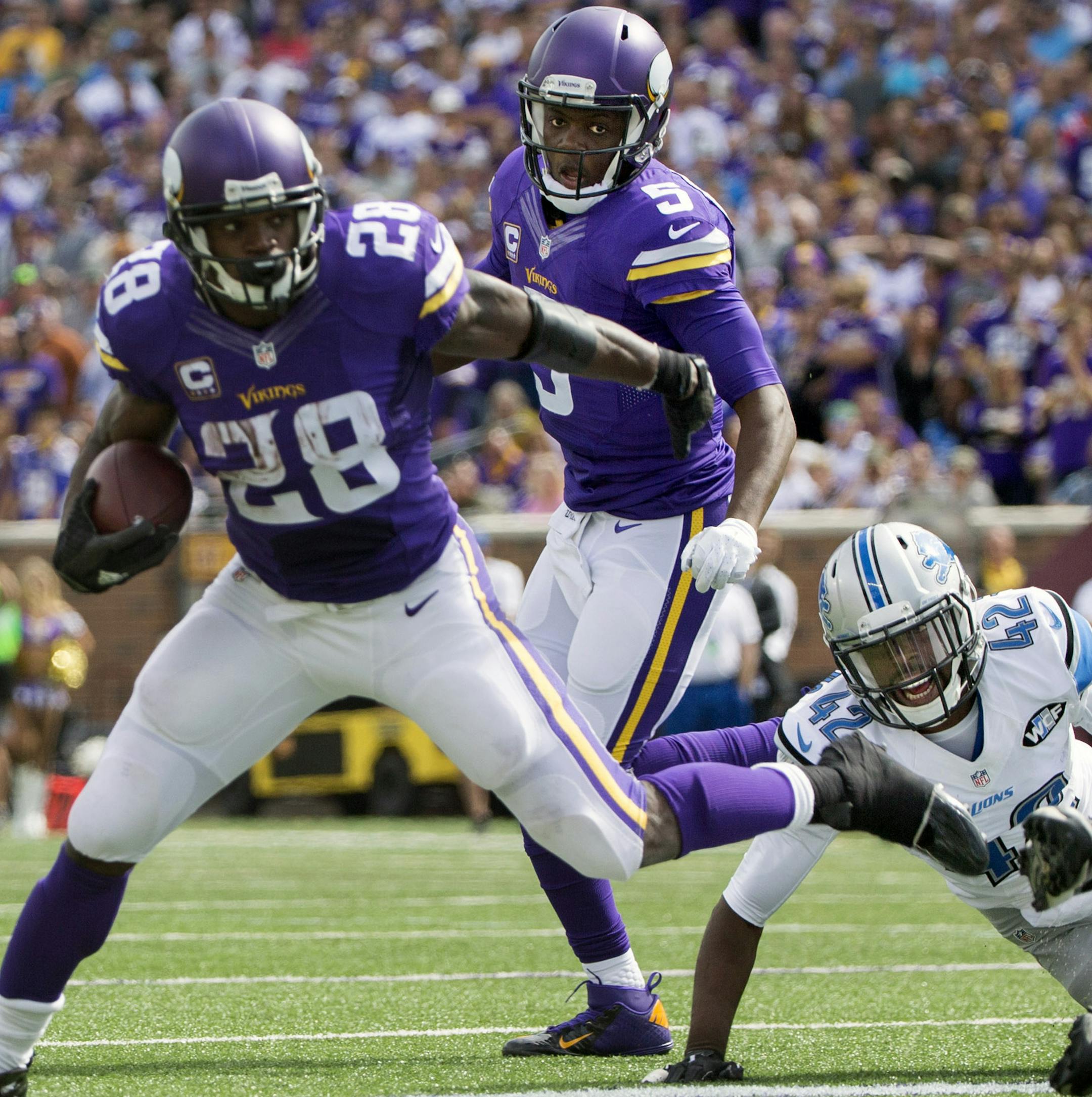 Teddy Bridgewater watches Adrian Peterson try to turn up field in the 2nd quarter. ] Minnesota Vikings vs Detroit Lions - TCF Bank Stadium. Brian.Peterson@startribune.com Minneapolis, MN - 9/20/2015