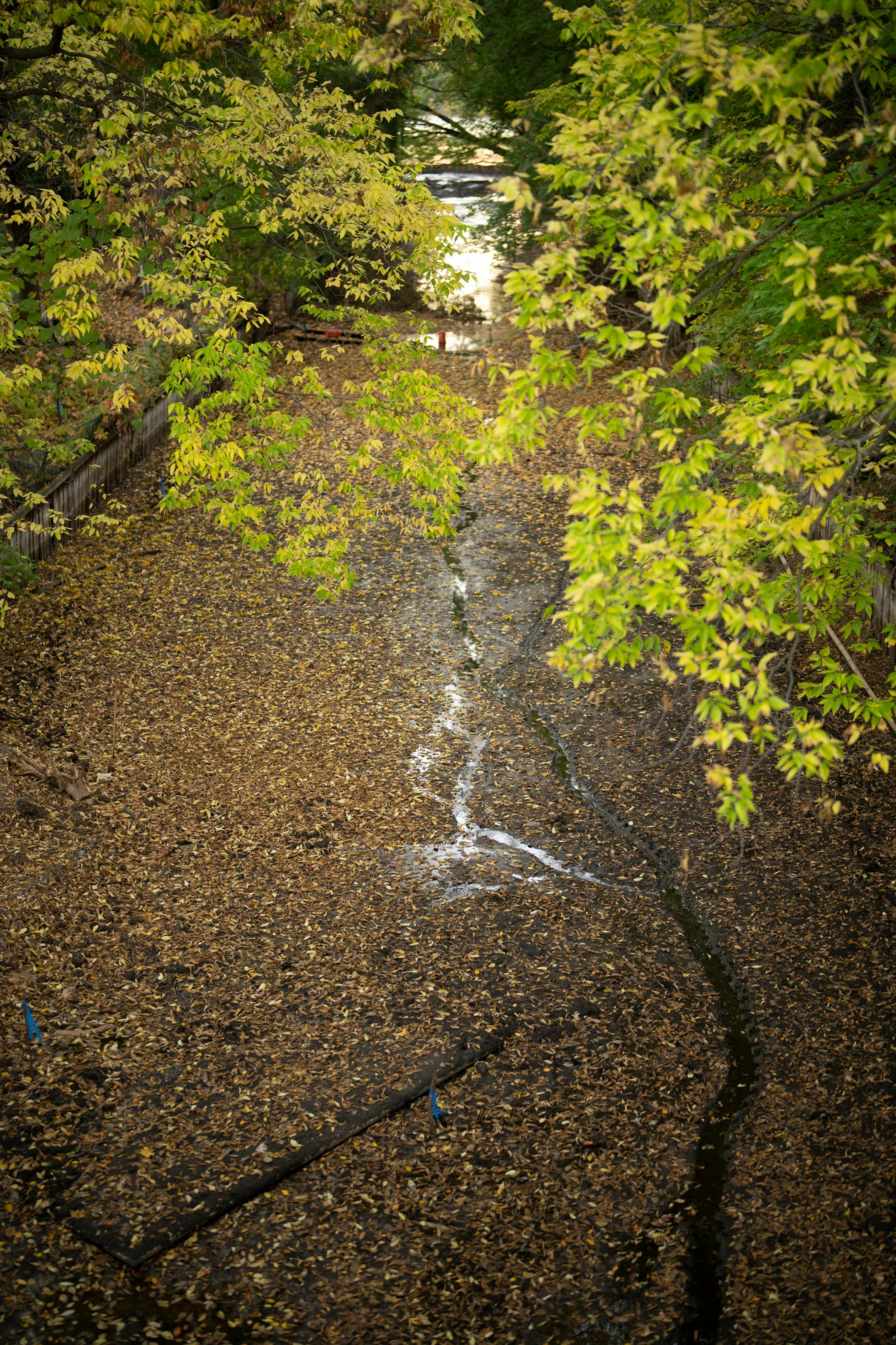 The empty Kenilworth Channel, where water is being pumped out to allow work on the project to naturalize and stabilize the shoreline.