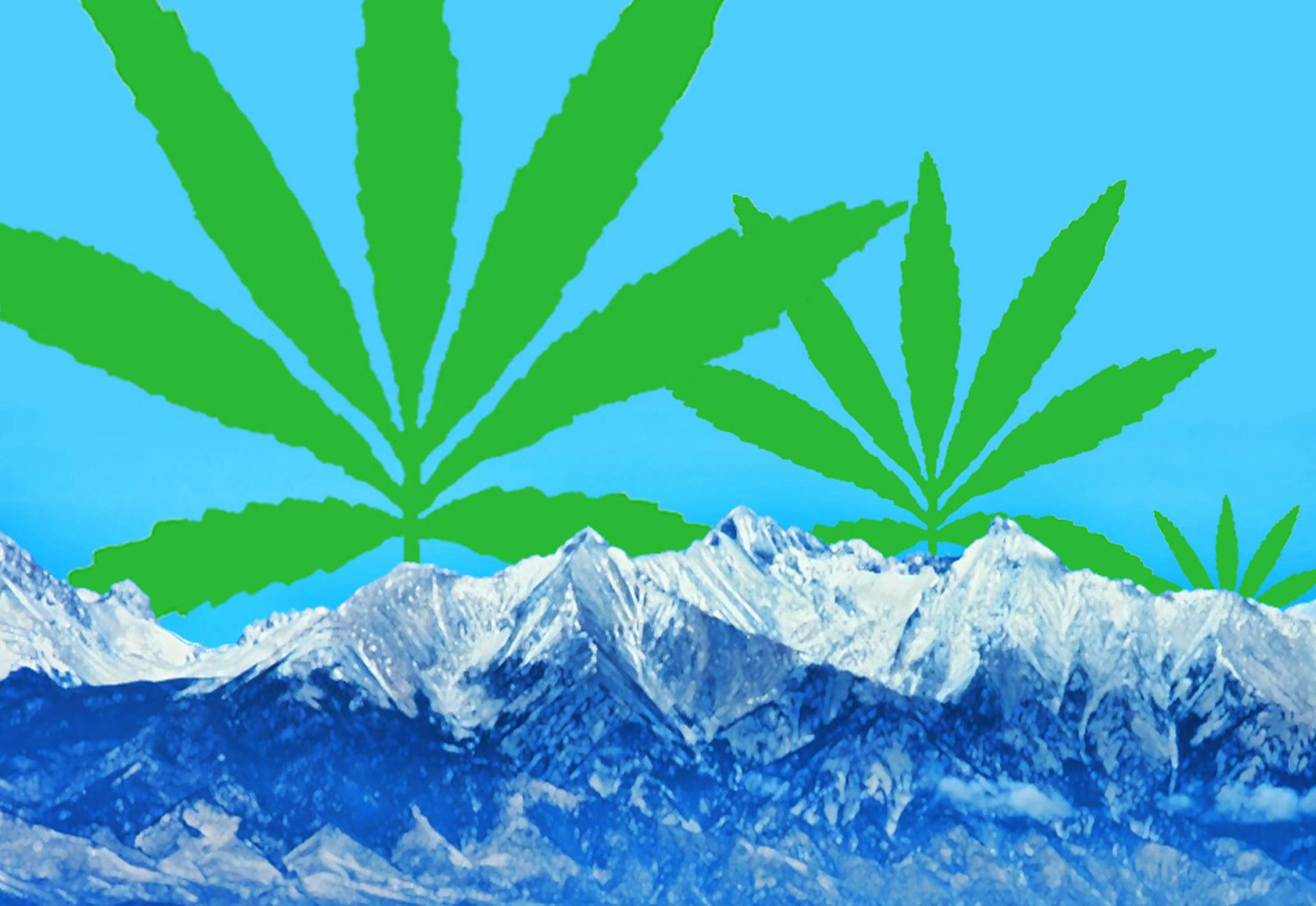 Barrie Maguire/NewsArt