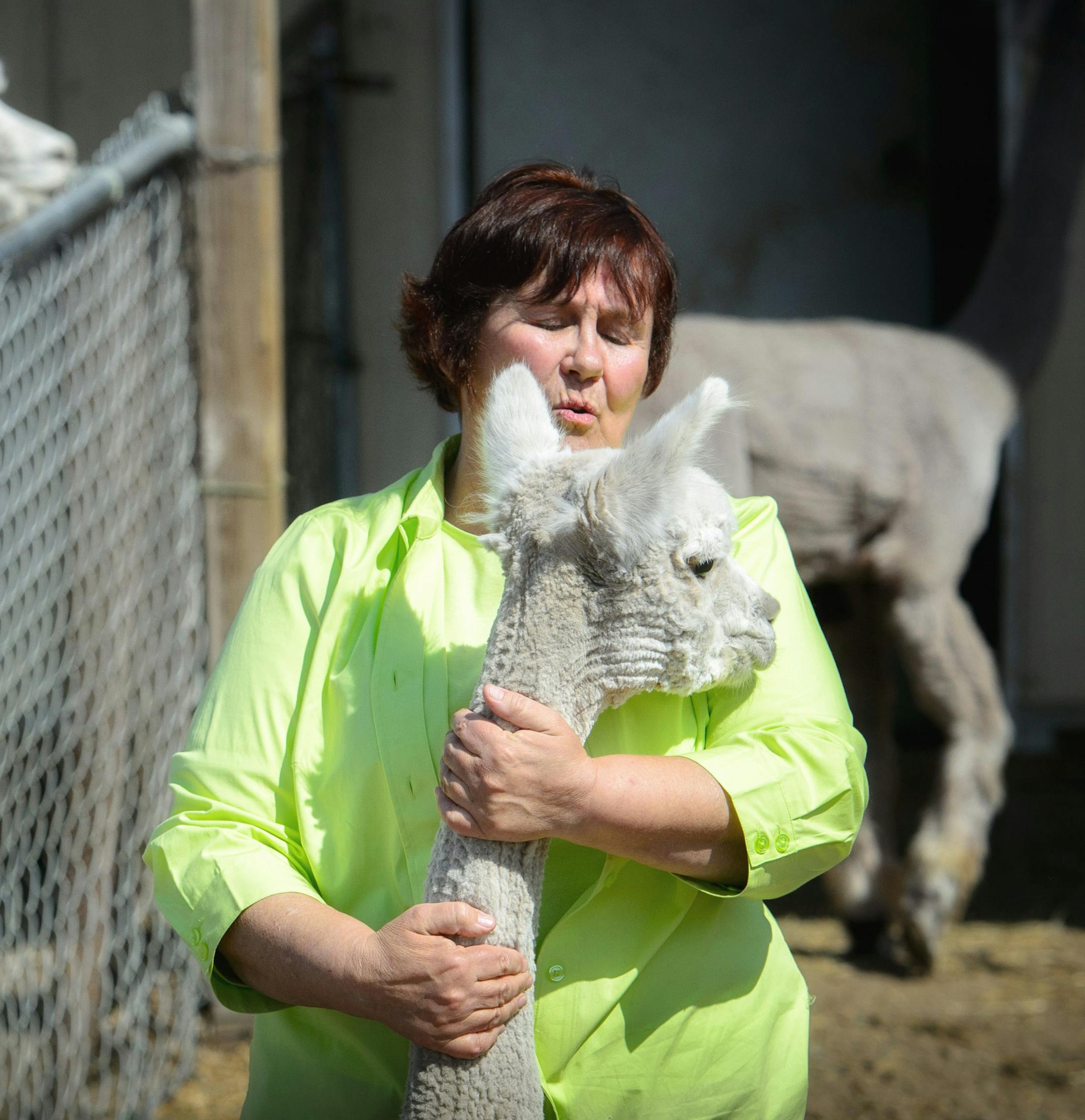 Ruth Kinkade hugged Sophia. Kinkade often refers to her alpacas as &#x201c;my babies.&#x201d;