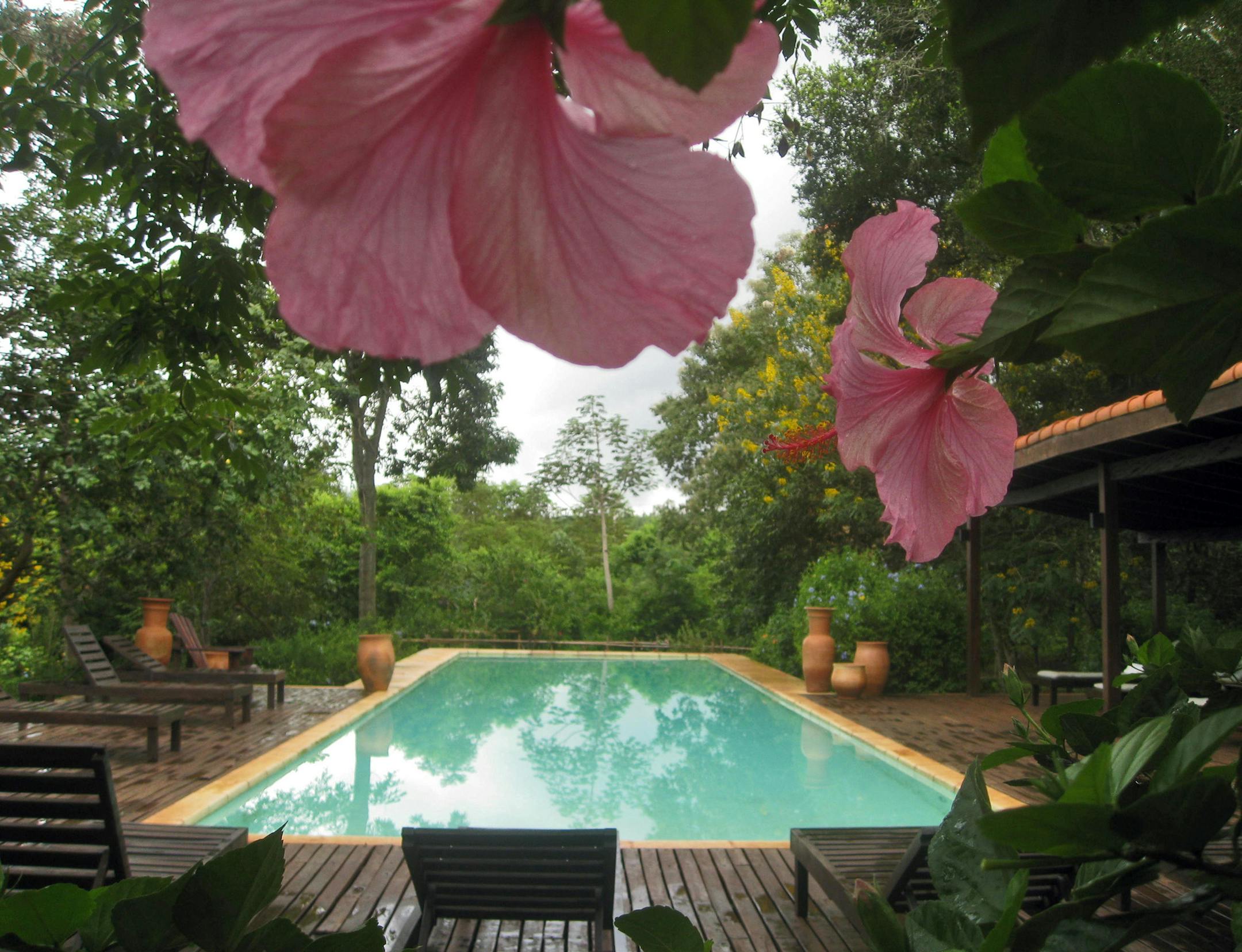 Curt Brown travel story on trip to Iguazu Falls, and a quiet retreat Caption for hotel shots: Posada Puerto Bemberg, a colonial-style 14-room hotel sits deep in the jungle of Argentina about an hour&#x201a;&#xc4;&#xf4;s drive from Iguazu Falls.