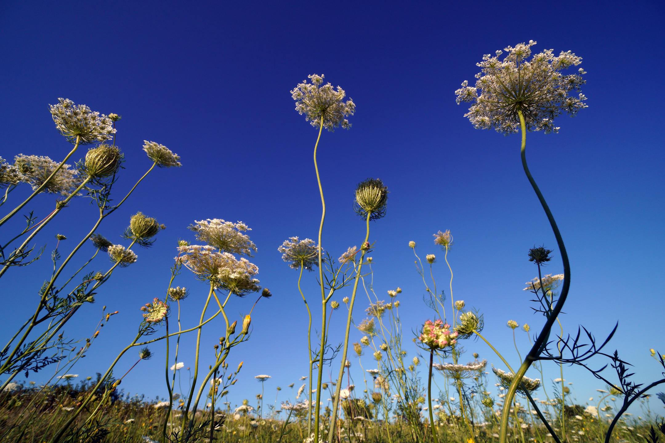 Minnesota state parks such as Blue Mounds in southwest Minnesota will remain open during the coronavirus pandemic, but campgrounds and other lodgings will be closed.
