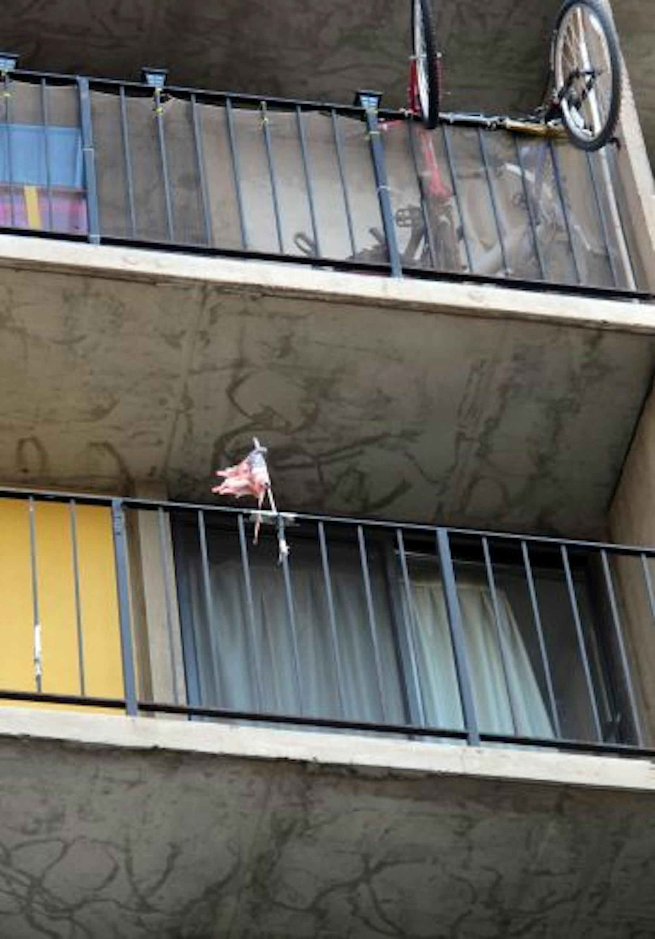 Balcony flag at Cedar Square west, Riverside Plaza apartments.