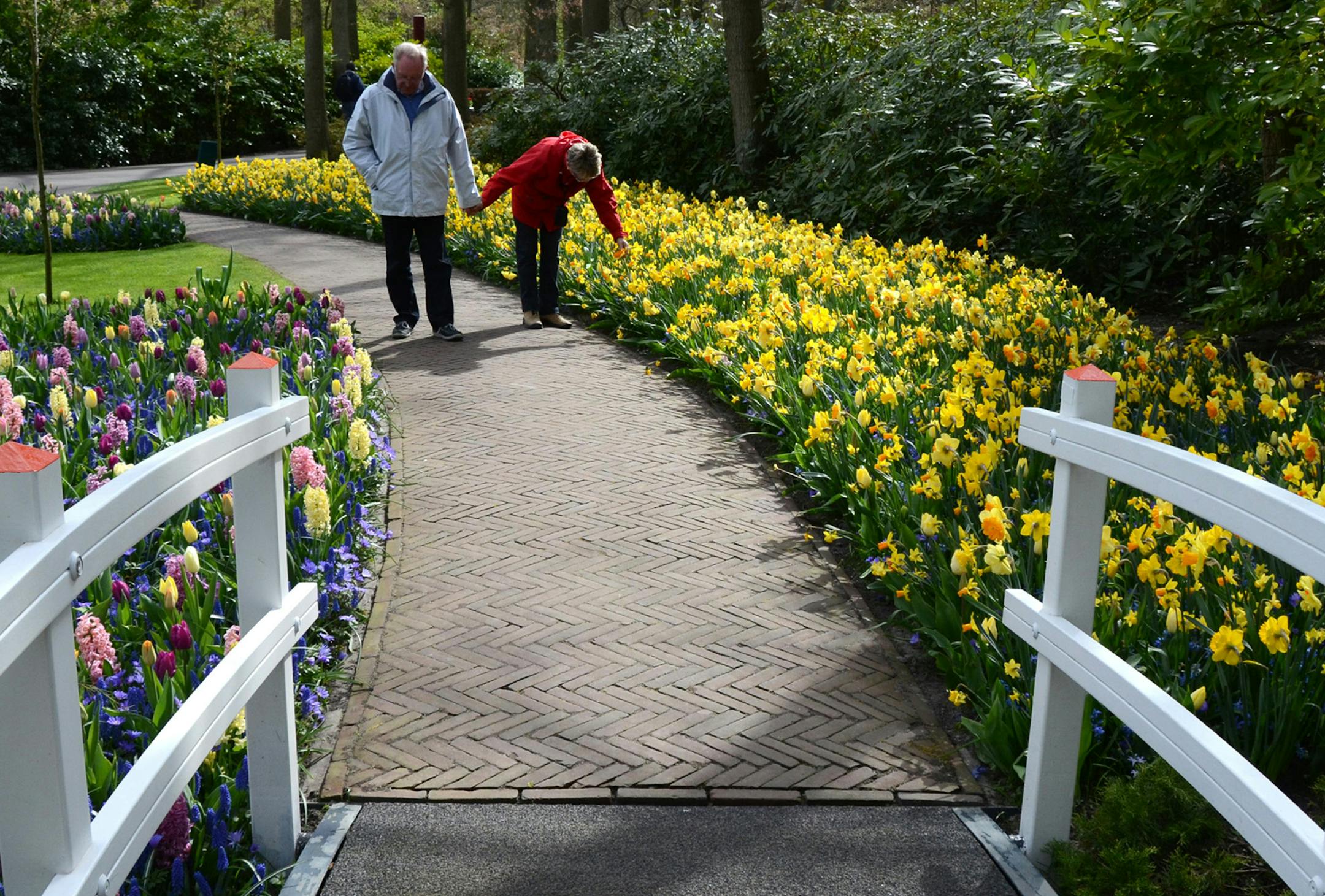 A French couple heads toward a bridge, flanked by tulips at Keukenhof in Holland. (Doug Oster/Pittsburgh Post-Gazette/TNS)