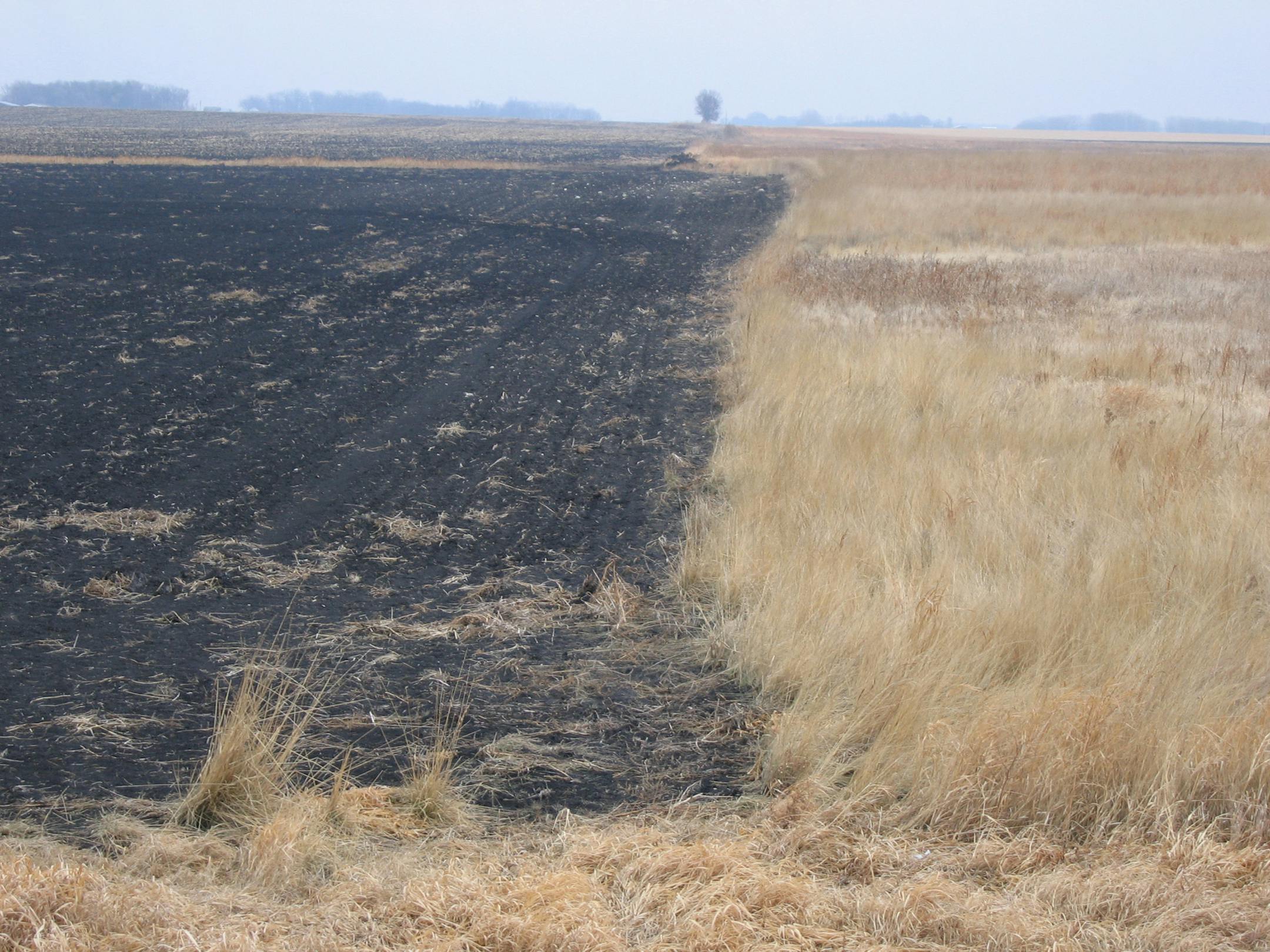 A CRP field undergoing a transformation.