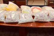 Numerous law enforcement agents participated in what was touted as the largest fentanyl seizure in state history.