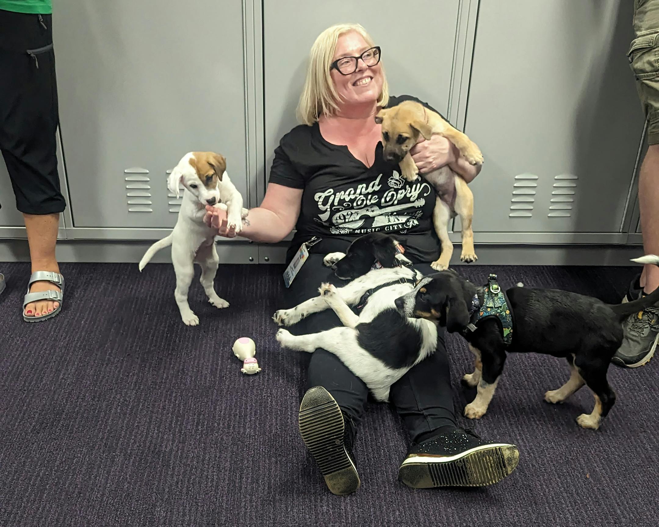 A Minnesota animal rescue group got an unusual request from crew members in town for Ed Sheeran's concert Saturday at U.S. Bank Stadium. They wanted to play with puppies. The concert workers sent a message to Princeton-based Ruff Start Rescue asking the non-profit if it could help put together a puppy party to help crew members relax before the concert.
