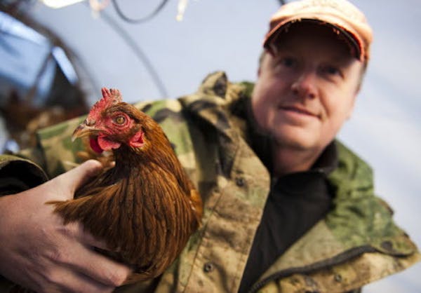 Jason Amundsen. credit: Photo by Craig Lassig/Invision for Intuit, Inc./AP Images Locally Laid Eggs near Duluth, MN