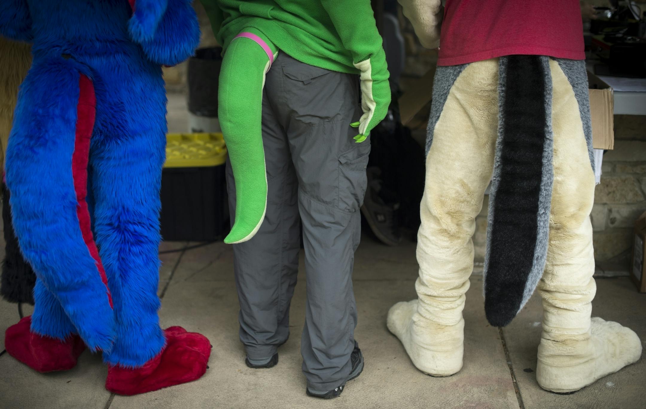 Fursuiters congregated around a table at the MN Furs' spring picnic as they watched fellow members print official badges for the event in mid-May.
