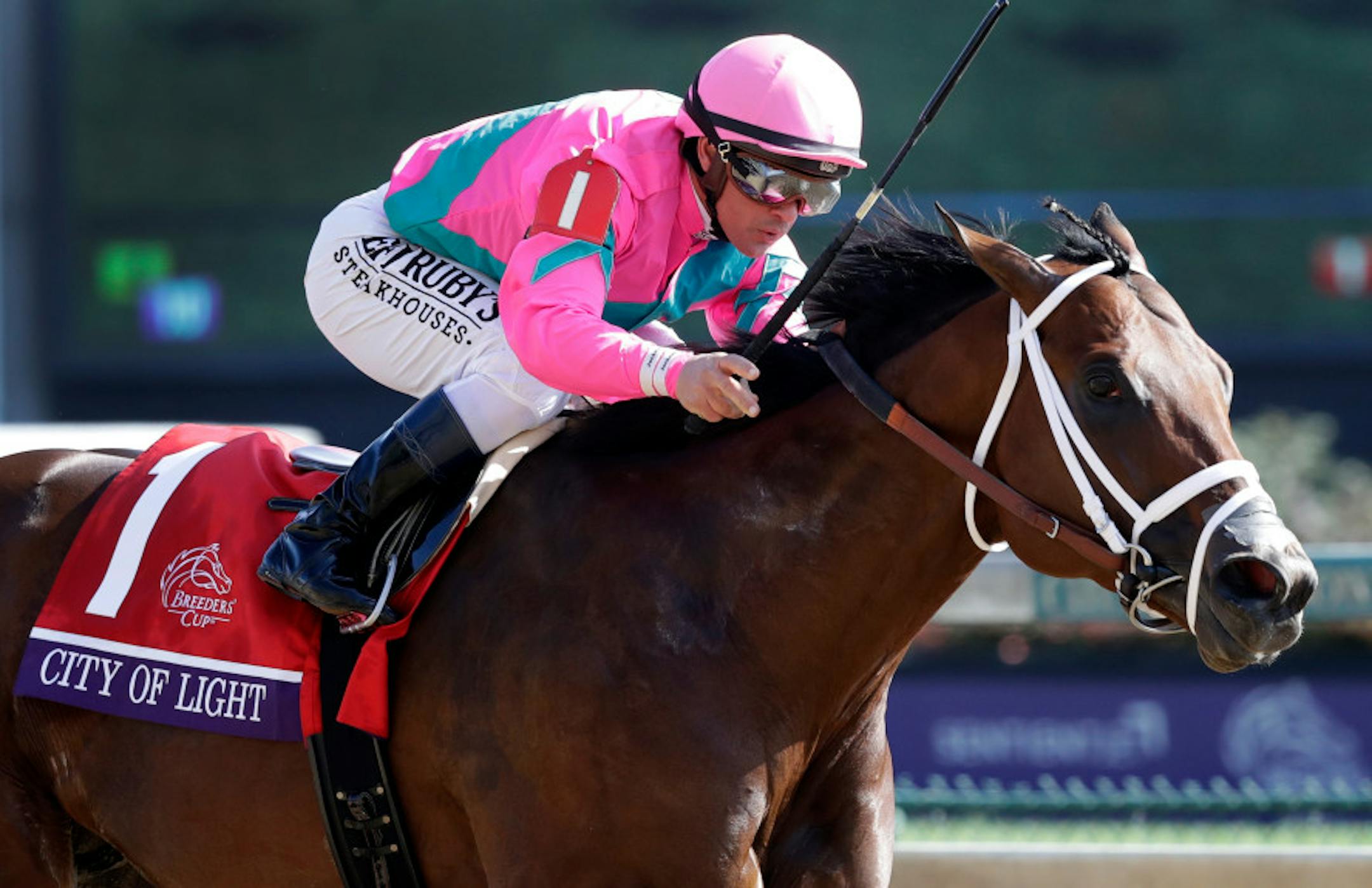 Javier Castellano rides City of Light to victory in the during the Breeders' Cup Dirt Mile horse race at Churchill Downs, Saturday, Nov. 3, 2018, in Louisville, Ky. (AP Photo/Darron Cummings)