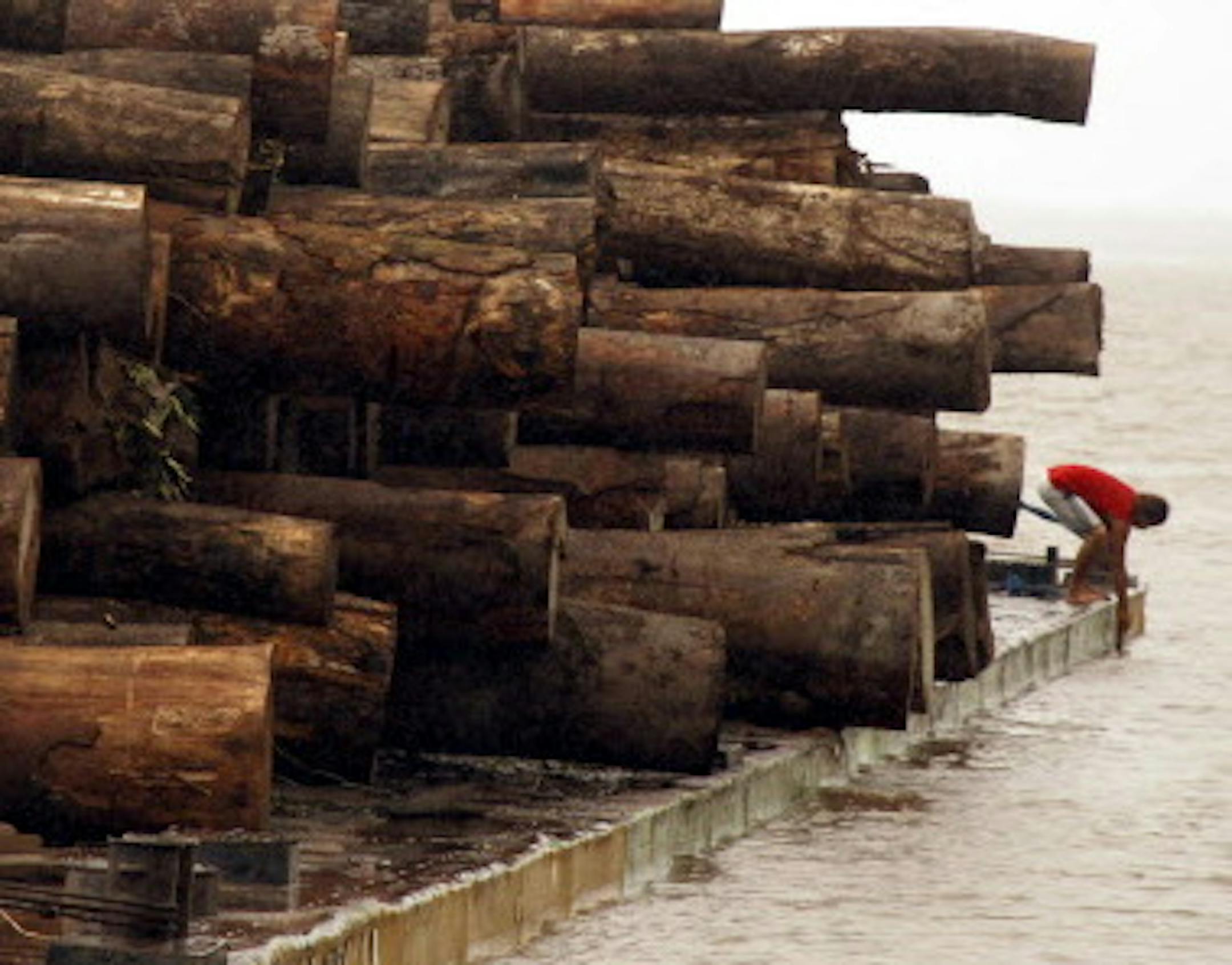 ** ALTERNATIVE CROP OF RIO108 ** A man is seen on a raft loaded with confiscated logs that were illegally cut from the Amazon rain forest, on the Guama river, in Belem, Brazil, Sunday, March 2, 2008. Brazil's government launched an operation named Arch of Fire to fight deforestation in the Amazon. Environmentalists say increased demand for agricultural products, particularly soy and beef, has prompted farmers to raze rain forest land for fields and pastures. Brazil is the world's top beef export