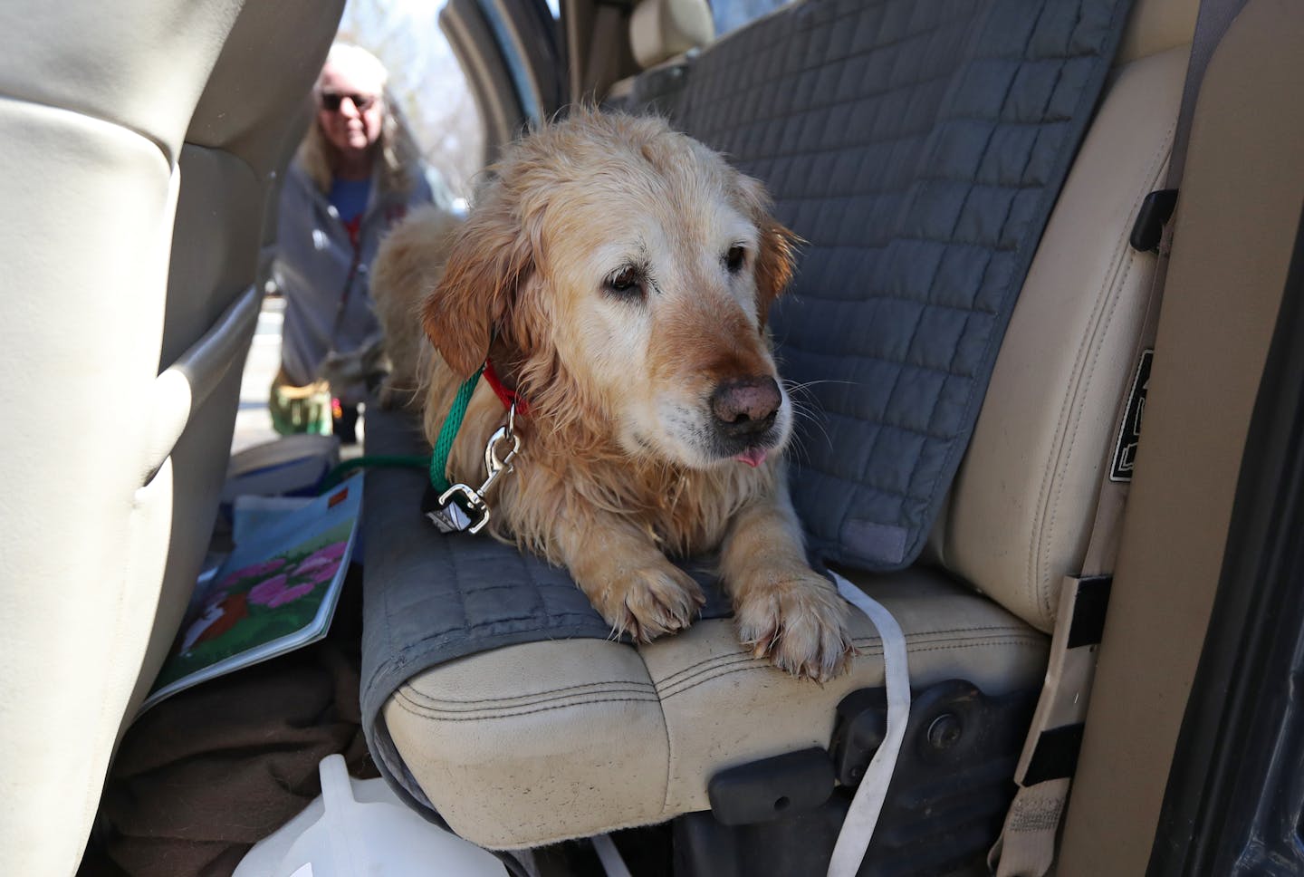 After a long trip from Turkey, George rested comfortably in the back seat of a vehicle that will deliver him to his foster home.