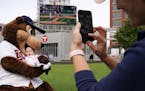 Chrissie Olson took a photo of her 5-month-old daughter Marion as T.C. Bear jokingly took a bite of the youngster during a free "Postseason Push" part