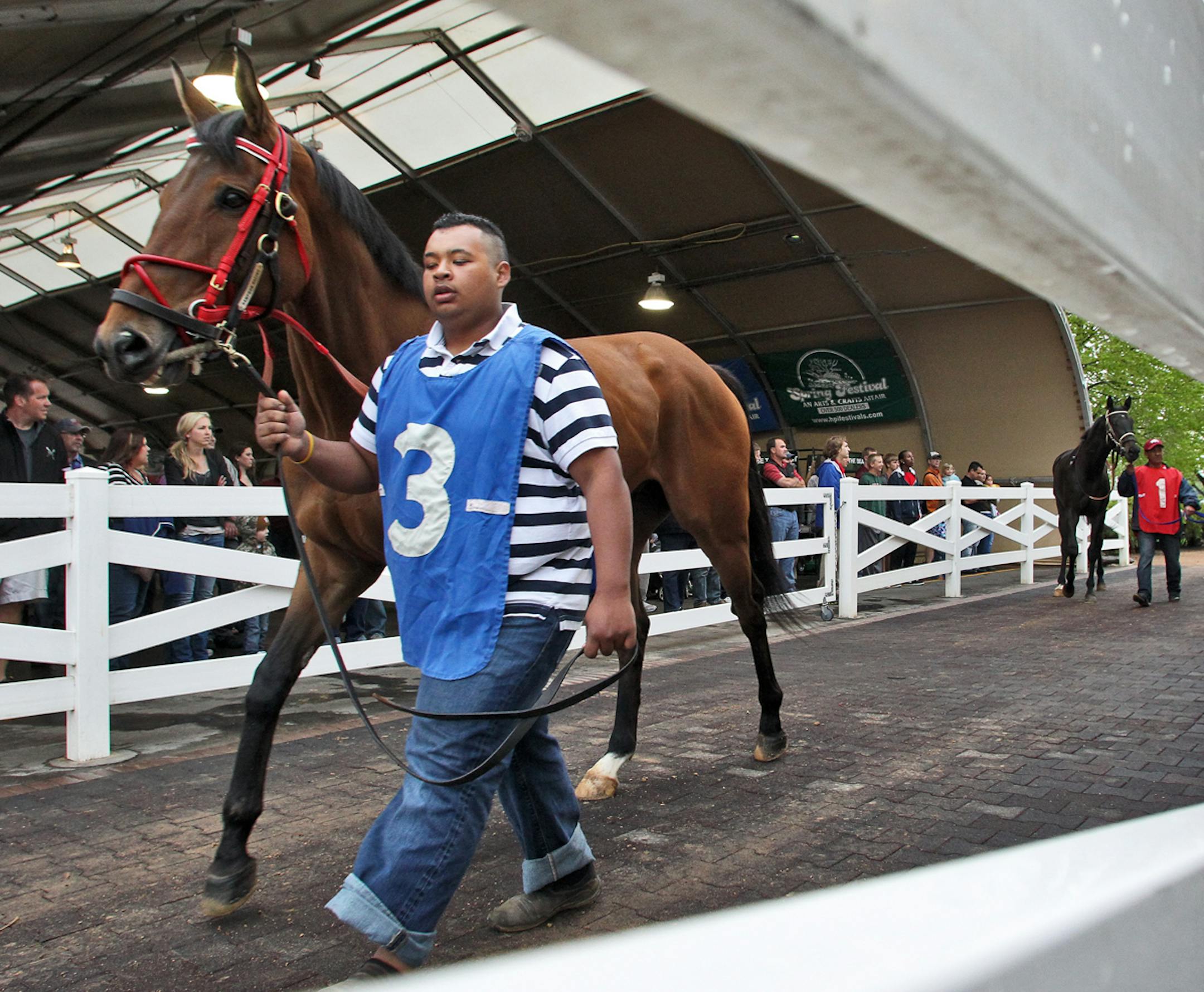 Opening night of racing at Caterbury Race Track. Horses were led in the paddock area before the start of the first race. (MARLIN LEVISON/STARTRIBUNE(mlevison@startribune.com (cq )