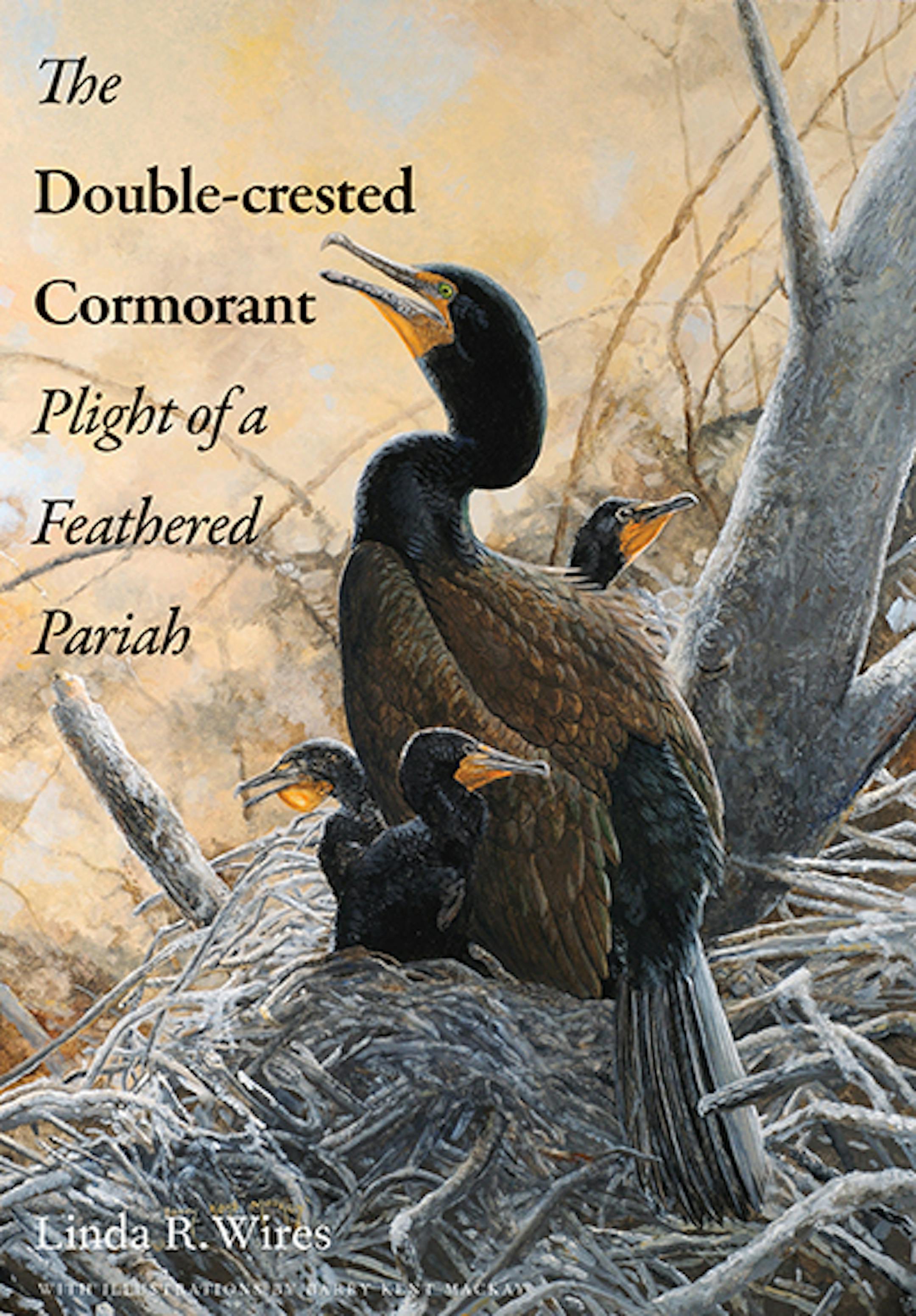 &#x201c;The Double-crested Cormorant: Plight of a Feathered Pariah&#x201d; by Linda Wires