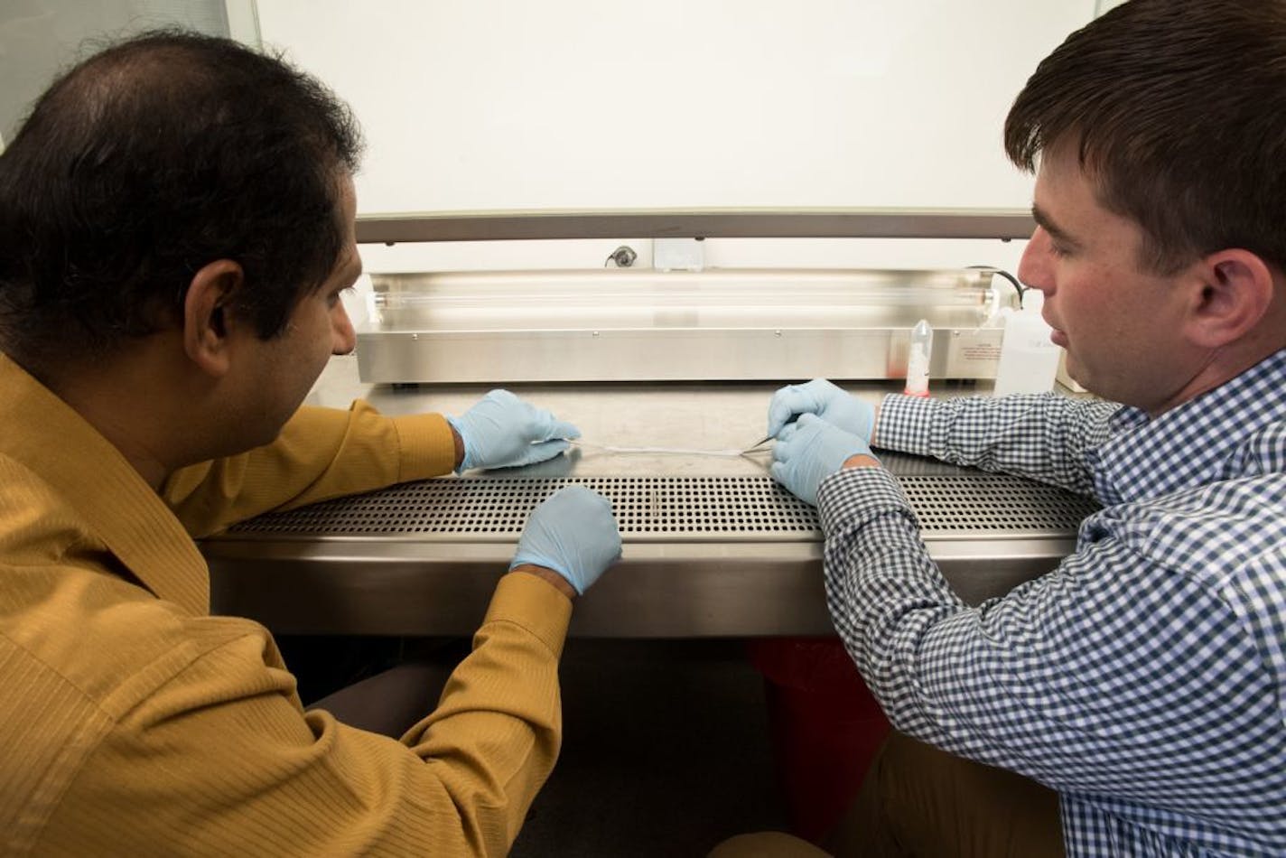 Madhavan Raghavan, professor of biomedical engineering in the College of Engineering, left, and Chaid Schwarz, a recent PhD grad and assistant research scientist. Medical 21 has licensed the cellulose-based material they developed in the lab at the University of Iowa.