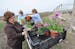 Photo by Liz Rolfsmeier Dakota County master gardeners Louise Breidel of West St. Paul, Carolyn Metcalf of Inver Grove Heights, and Nell McClung of Ap